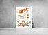 octopus poster wall art